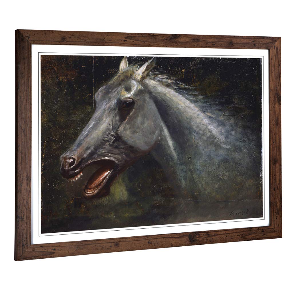 Big Box Art Framed Print of Albert Bierstadt A Wild Stallion Design | Wall Art Picture | Home Decor for Kitchen, Living Room, Bedroom, Hallway, Walnut, A2 / 24.5x18 Inch / 62x45cm