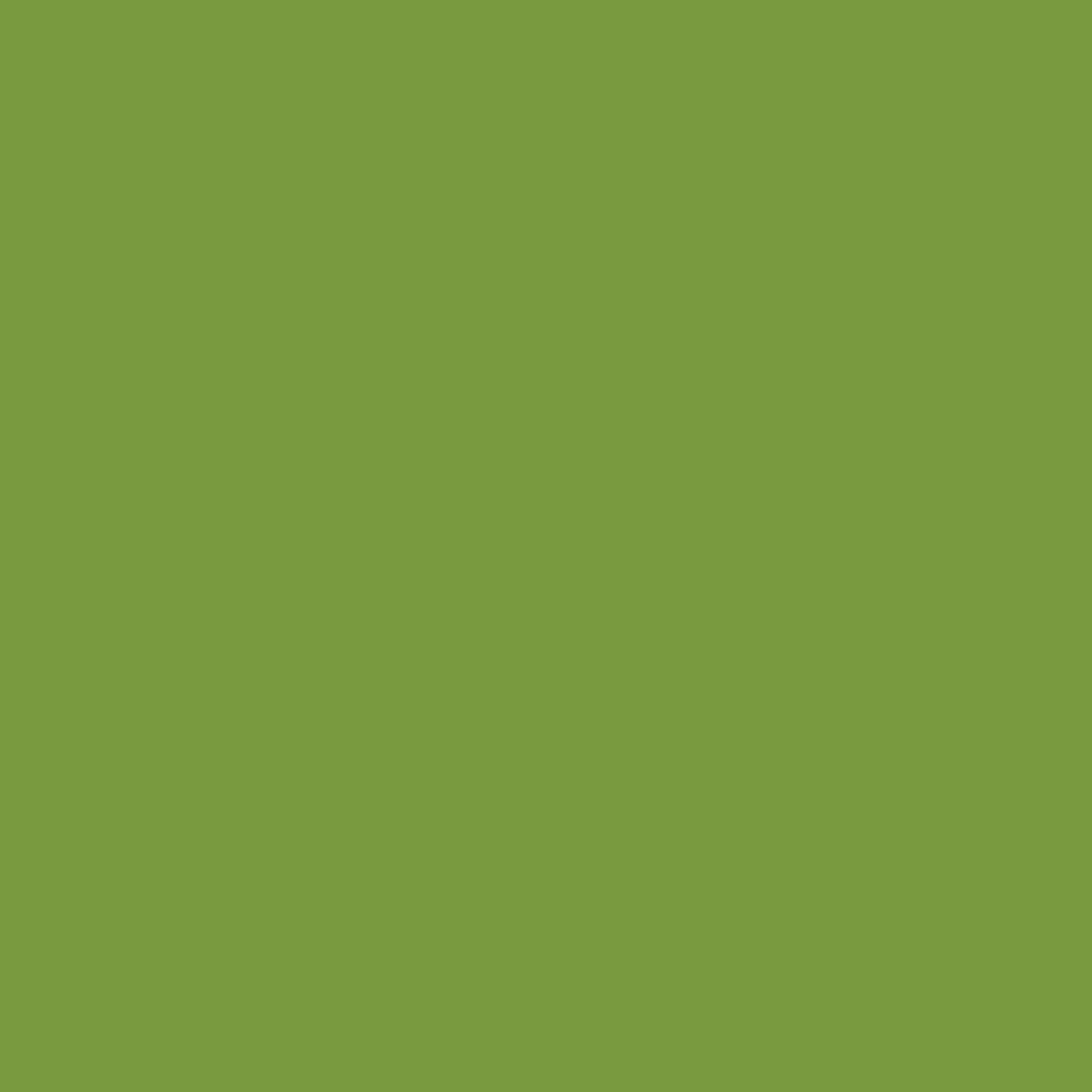 Wendy Vecchi Leaf Green Wendy Dye Reinkers Small