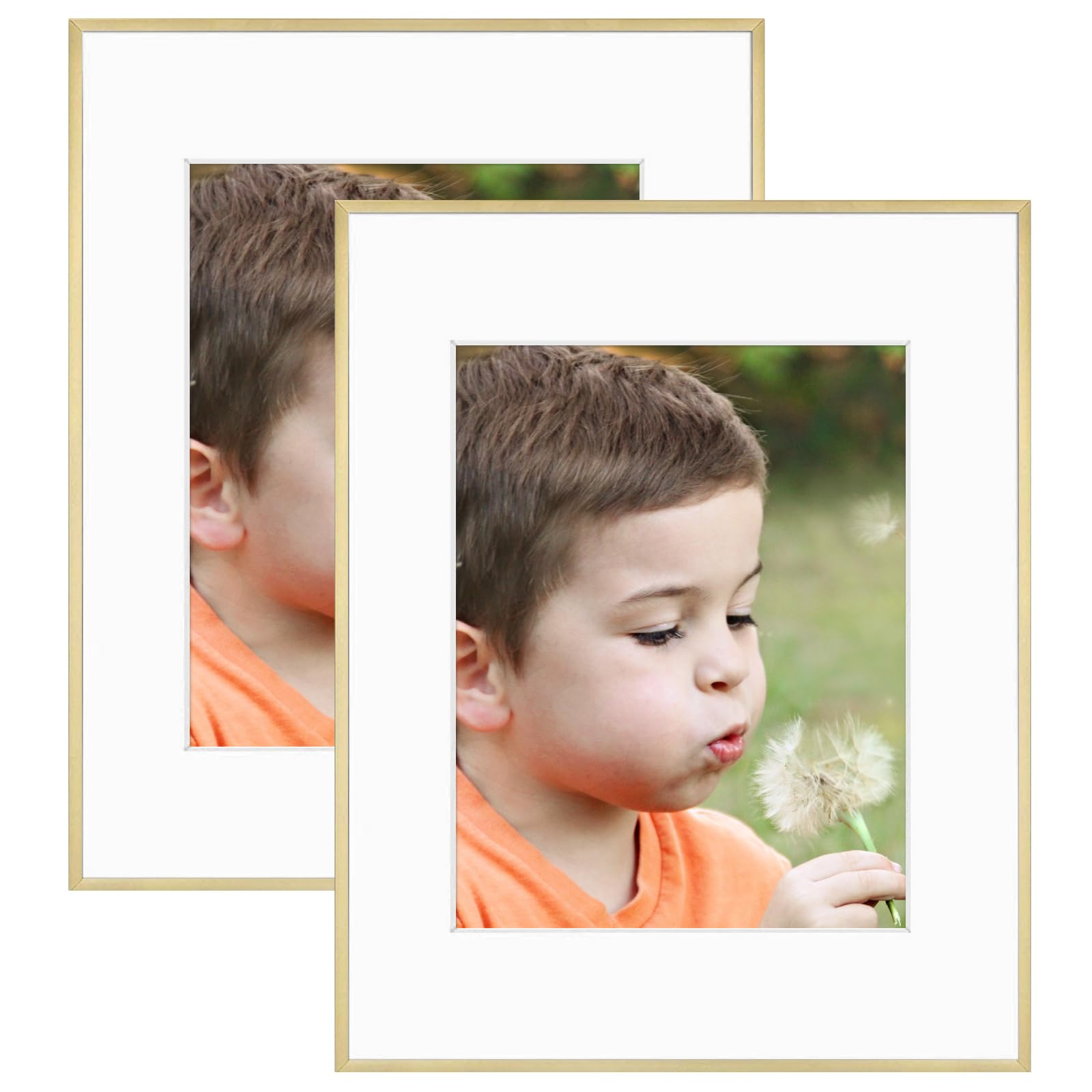 Amazon.co.jp: Frametory (フラメトリー) 16x20 メタル写真フレーム