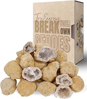 Medium Break Your Own Geodes - Natural Crystals - 20 Count (Medium 1.75-2.5") - Includes Educational and Instructions - Scientific Learning - Geology Gift for Kids