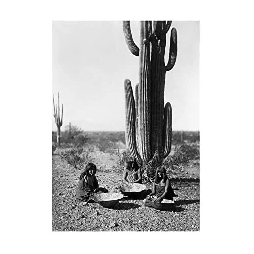 Wee Blue Coo Photo Vintage Curtis Native American Saguaro Gatherers Wall Art Print