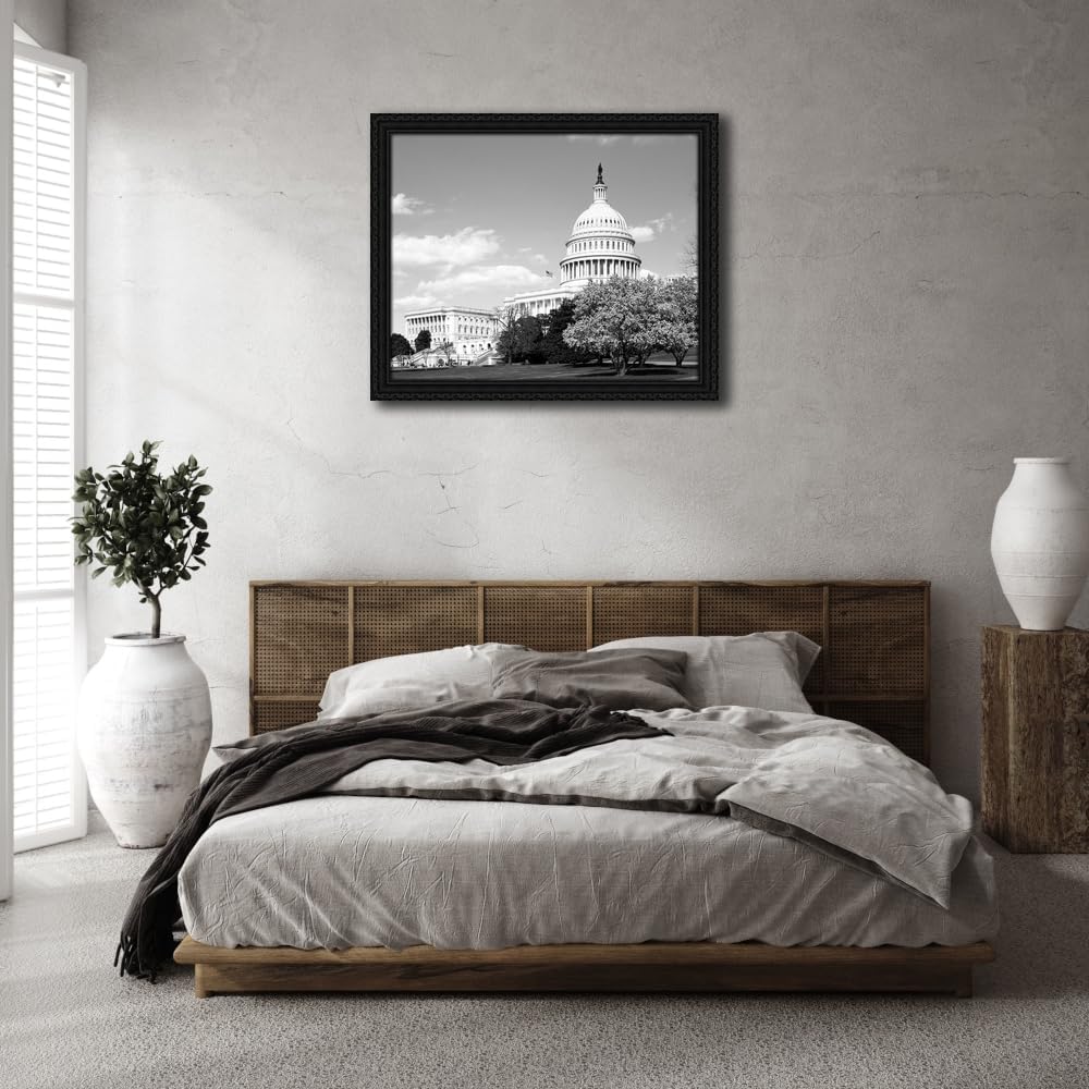 ArtDirect Capitol Hill Washington D.C. in cherry blossom season 34x28 Huge Black Ornate Wood Framed Canvas Giclee Art by Highsmith, Carol