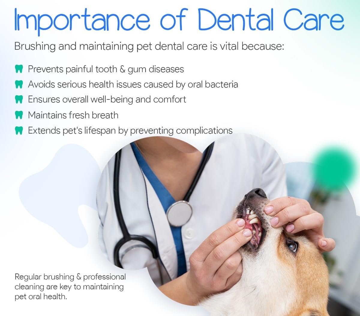 10 X Oral Fur Hygiene PET Dental Finger TOOTHBRUSHES for Your Furry Paw Friend with Storage Cases Ideal for Dogs & Cats Non-Toxic only Silicon 360 Brushing Ability to Remove Build of Plaque Bad Breath - Image 3