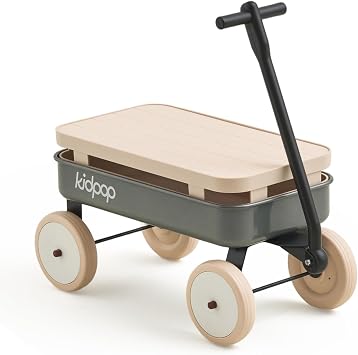 Kidpop Kids First Pull-Along Wagon with Removable Cover and Basket for Storage, 4-in-1 Push Pull Toy Cart for Toddlers, Lightweight 5.5 lbs, 1st Birthday Gift Grey