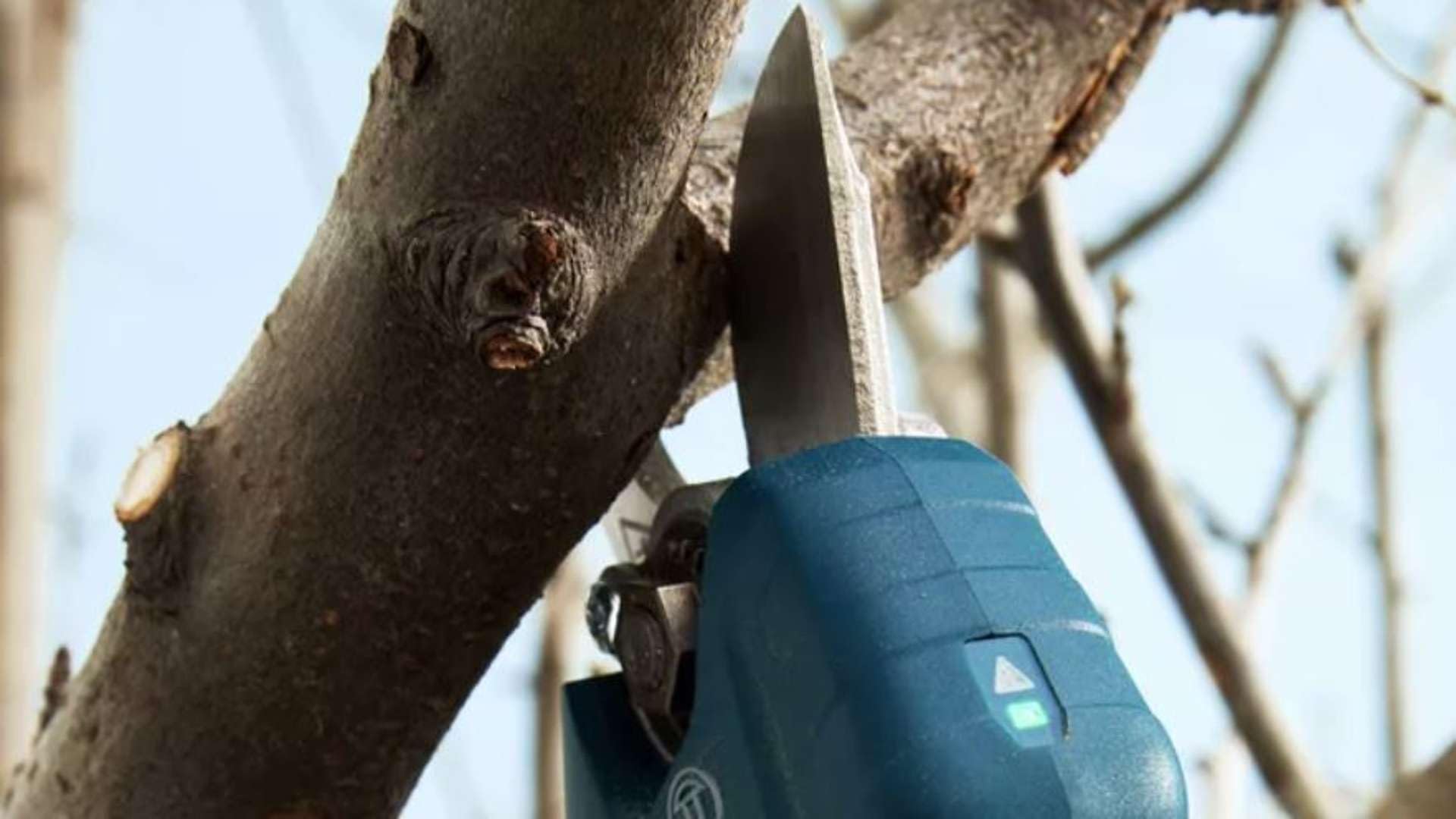 Bosch akumuliatorinis sekatorius 12 V PRO PRUNER 25 mm 2 x 3