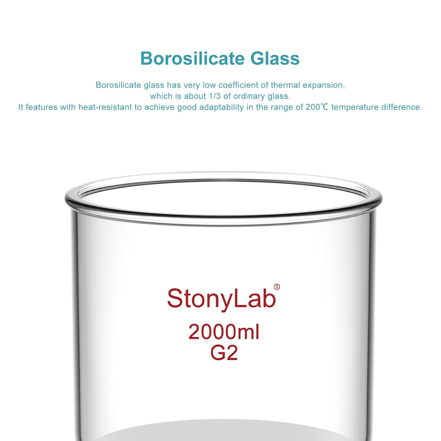 StonyLab Borosilicate Glass Buchner Filtering Funnel 1000ml with Medium Frit(G2), 155mm Inner-Diameter,145mm Depth, with 24/40 Standard Taper Inner Joint and Vacuum Serrated Tubulation (2000ml)