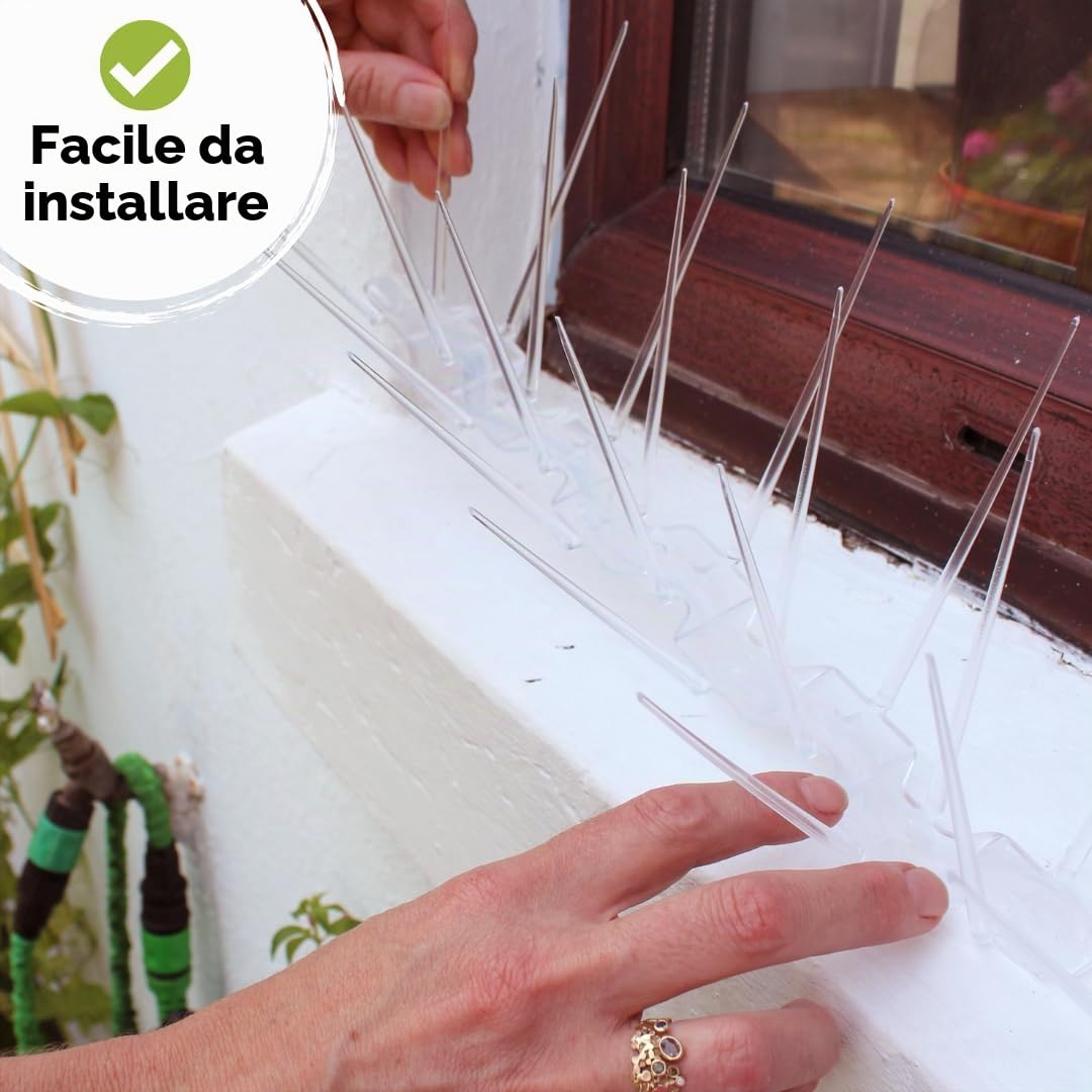 Defender Bird and Pigeon Spikes Dissuasori larghi a spillo in plastica antiuccelli e antipiccioni, Trasparente, 5 metri