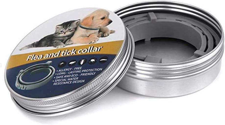 Qpets® Flea and Tick Collar - 8 Month Protection Adjustable Waterproof Collar for Dog Puppy Kitten Cats, Natural & Safe Efficiently Repell Locust Lice of Pets (for Dog and Cat) (Grey)