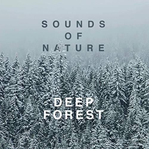 Play Sounds of Nature: Deep Forest by Deep Sleep Relaxation on Amazon Music