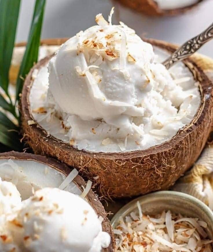 Amazon.co.jp: COCO XIM Coconut Milk Dairy Free Unsweetened