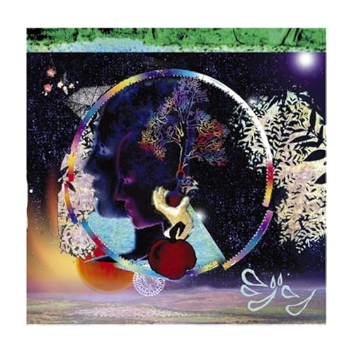 解読不能 / ジン