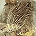 Synthetic Dreads Honey color, Light Brown to Blond, Ombre Set, Ombre Dreads, Synthetic dreads, de dreads, se dreads, Dreadlocks Extensions
