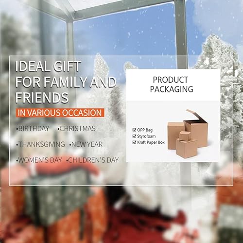 Aygrun Plantador pequeno de cabeça de fada, pacote com 3 vasos de suculentas, vaso de flores de rost