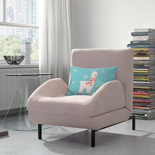 Miniatura 9 de AOYEGO Funda de almohada con cita motivacional, 12 x 20 pulgadas, pesos de no levantarse, gimnasio, entrenamiento, deporte, palabras, rectangulares,