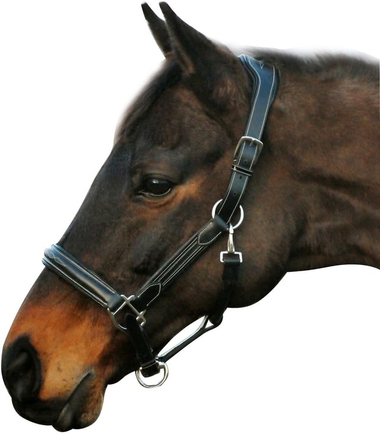 Henri de Rivel Stress Free Halter with Fancy Contrast Stitching