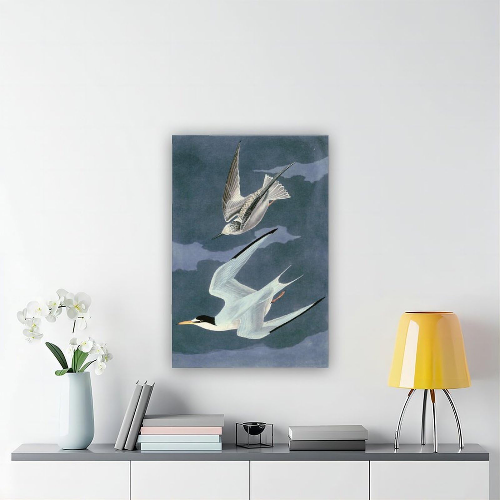 ANFOTCM John James Audubon, mała rybitwa, artystyczna dekoracja ścienna plakat rodzinny bar restauracja garaż kawiarnia sztuka znak prezent 20 x 30 cali (50 x 75 cm)