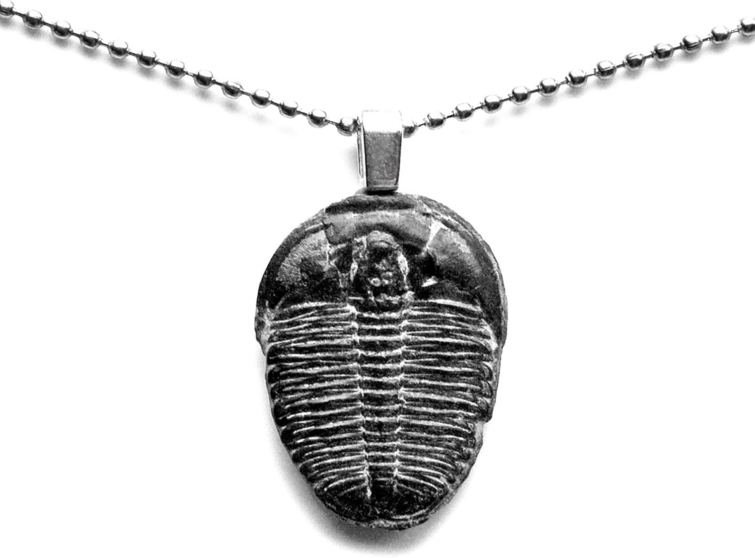 Genuine Trilobite Fossil Pendant Necklace With Adjustable Chain