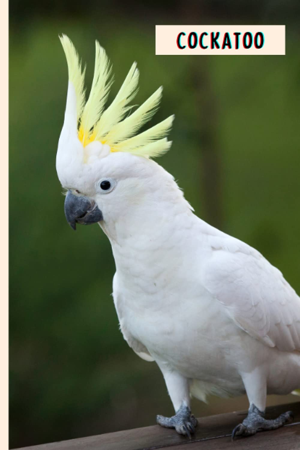 Cockatoo: Composition Notebook For Cockatoo Lovers , Cockatoo Lined Journal ,6x9 Inches , 110 Pages ,Cockatoo Diary