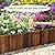 GHWIE Wooden Garden Fence Wood Garden Edging Border Decorative Landscape Border Edging,Planting Tree Fence Yard Patio Path Edging Landscape Edging Flower Bed Fences-11.8'' H x 48'' L (1PACK)