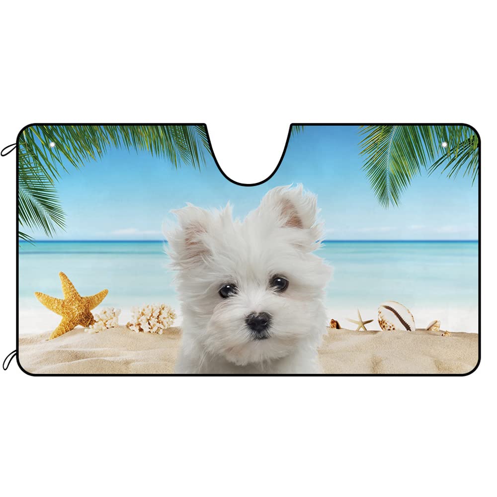 BAGEYOU Parasol Para Parabrisas De Coche, Diseño De Perro Maltés En La Playa, Para Parabrisas Delantero, Protector Solar Con Reflector De Rayos UV, Mantiene El Vehículo Fresco, 55 X 30 Pulgadas