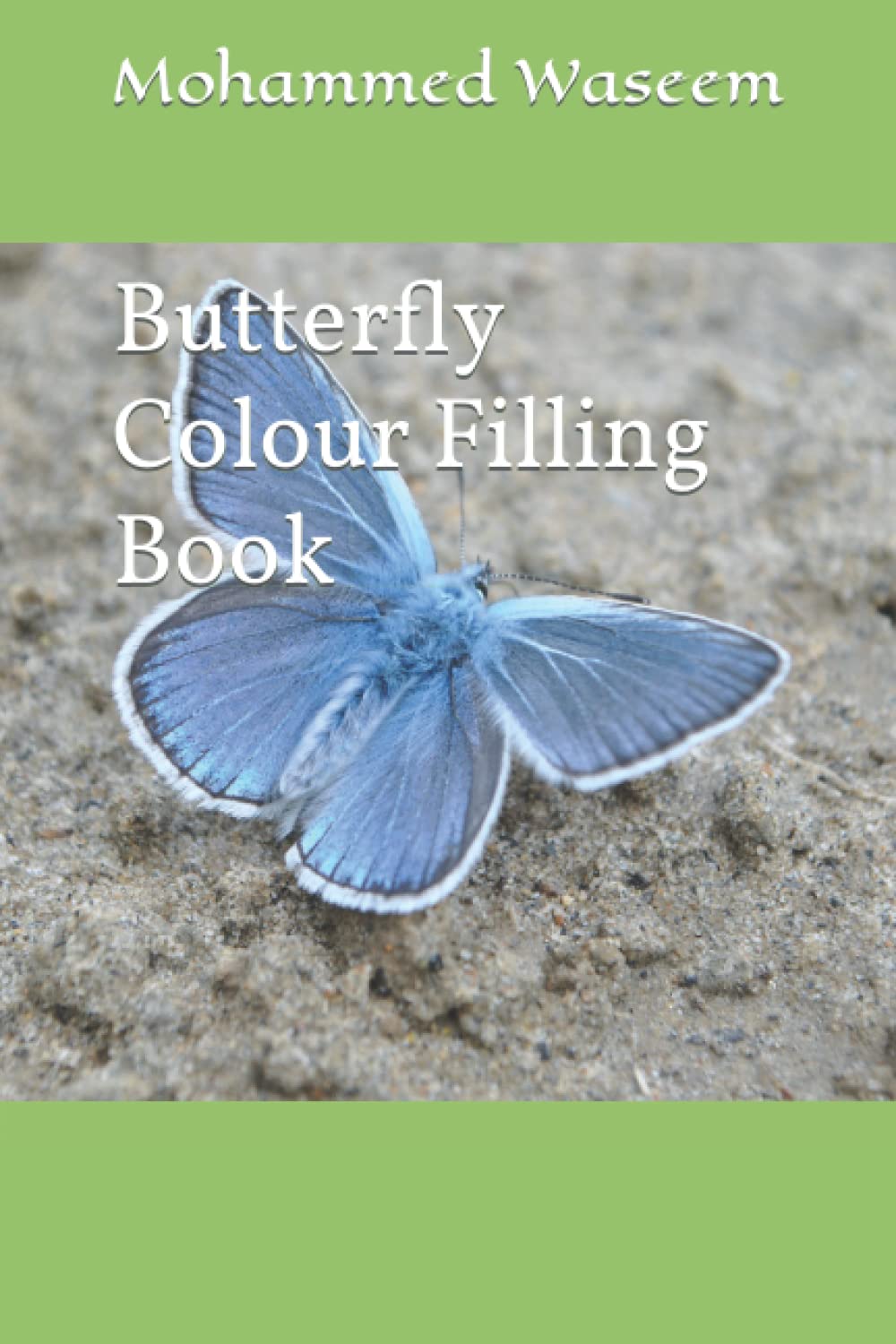Butterfly Colour Filling Book