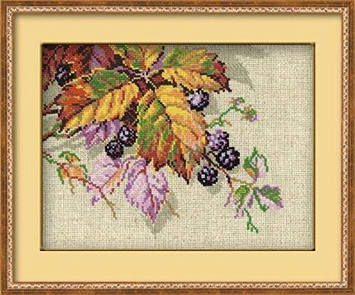 RIOLIS 990 - Blackberries - Counted Cross Stitch Kit 10Â¼" x 7Â¾" 14 Colors Zweigart 15 ct. Flaxen AIDA
