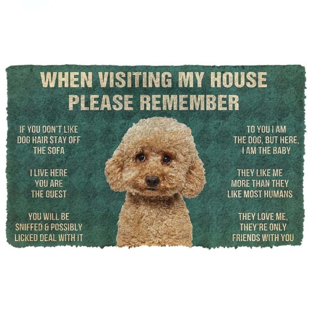 Paillasson extérieur entrée pour chien Maltipoo avec règles de la maison