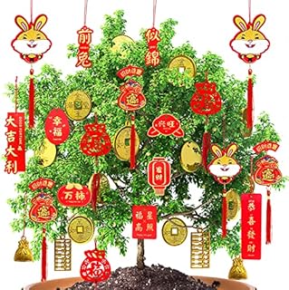 Mauts 2023 Chinese New Year Decorations Ornaments Chinese Knot Pendant Red Hanging Ornaments,Lucky Fu Pendants for New Year Home tree Car ornaments (Red, 44)