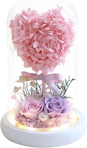 BAUBUY Rosa preservada Hydrangea Love Tree Preserved Flower Gift Box Glass Dome Preserved Real Rose Wife Girlfriend Valentines Day Birthday for