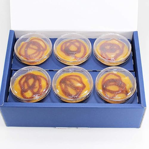 東京 小金井 TERAKOYA監修 濃厚マンゴープリン