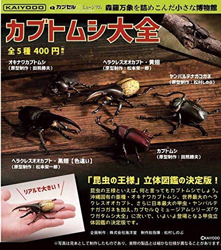 Amazon | カプセルQミュージアム カブトムシ大全 [全5種セット