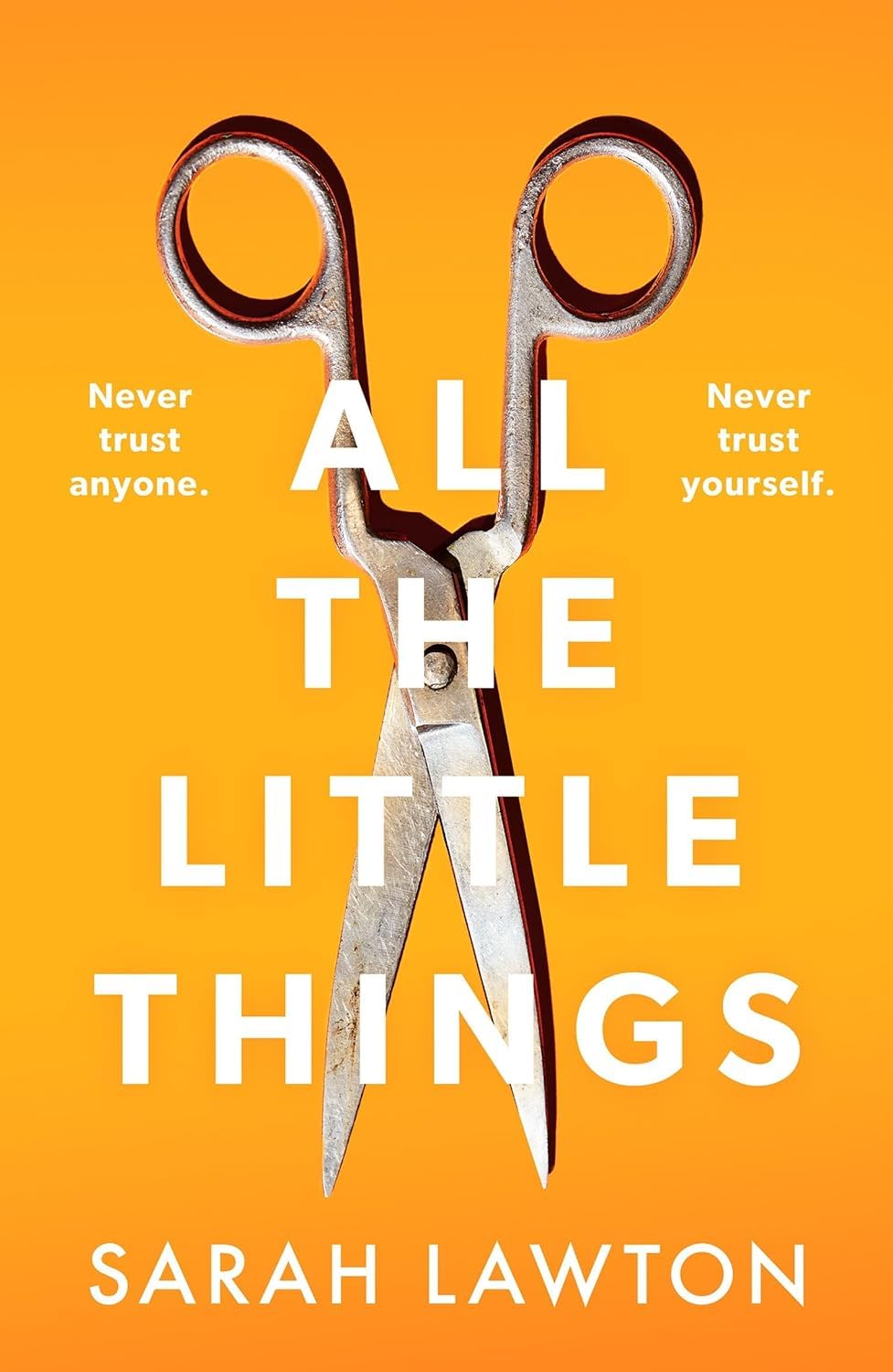 All The Little Things A tense and gripping thriller with an unforgettable ending