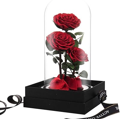 Amazon Com Yamonic Preserved Real Rose With Love You Necklace In 100 Languages Gift Set Enchanted Real Rose Flower For Valentine S Day Anniversary Wedding Birthday Romantic Gifts For Her Red Home Kitchen