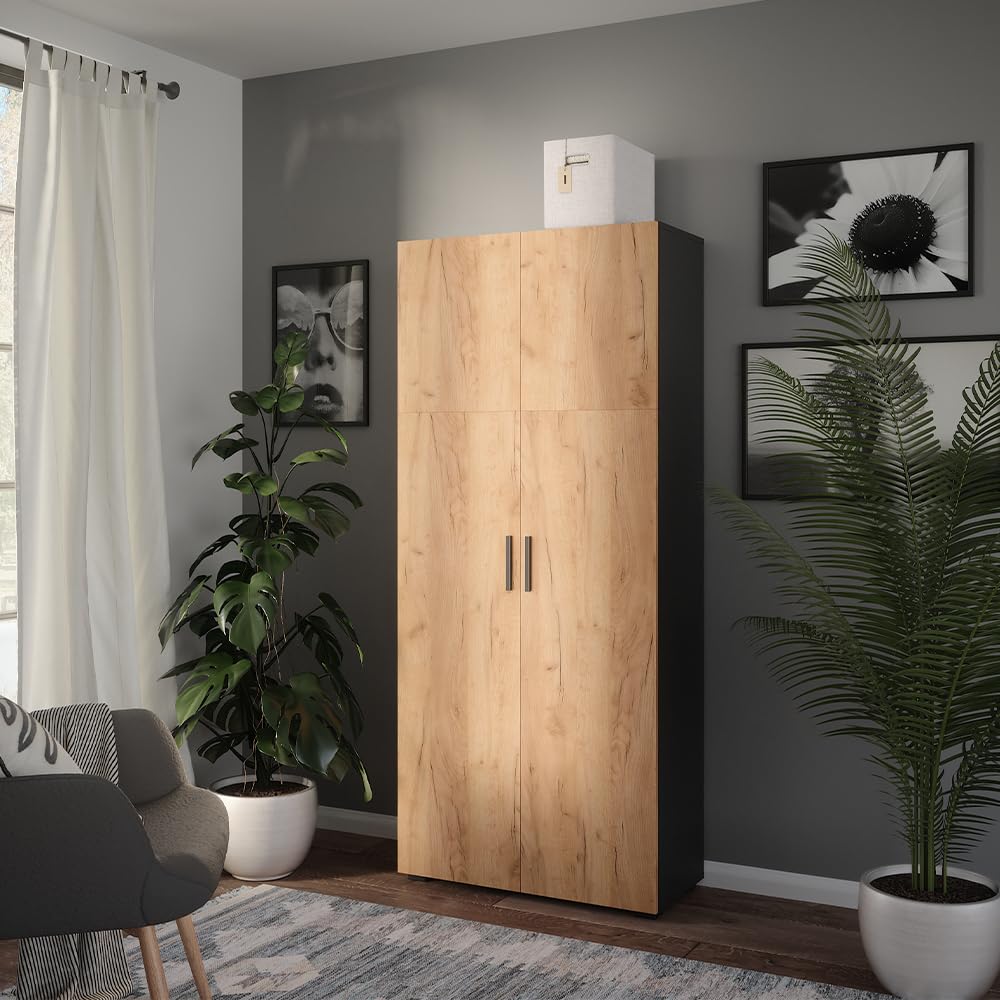 Vicco Armoire Universelle Ingo, Anthracite/chêne doré, 80x183.8cm, pour Le Rangement des dossiers et classeurs au Quotidien au Bureau