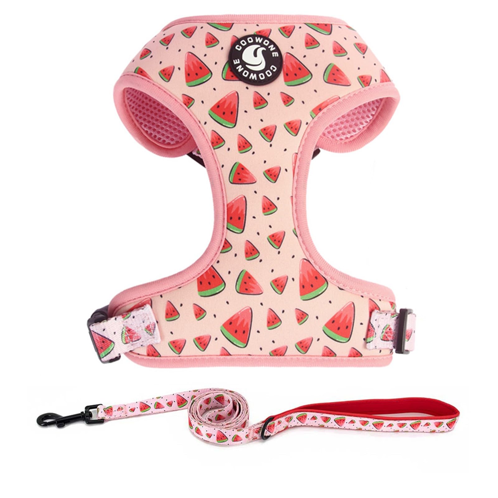 Dog Harness and Leash Set, Adjustable Dog Harness, Dog Leash, No Pull No Choke Puppy Harnesses for Walking Training for Small Medium Pet