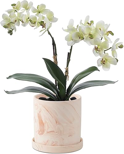 Miniatura 7 de Maceta de 5 pulgadas, macetas de terracota para interiores, recipientes modernos para suculentas con orificio de drenaje y platillo, para decorar el