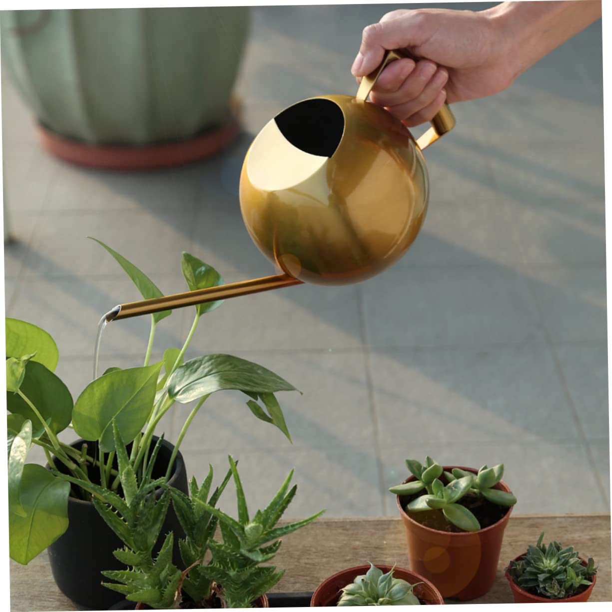 Konewka, Butelka na wodę ze stali nierdzewnej Metalowa konewka Konewka do Bonsai w pomieszczeniach Konewka do Bonsai Konewka do roślin domowych Rośliny Podlewanie zraszacz Czajnik Urządzenie do podlew