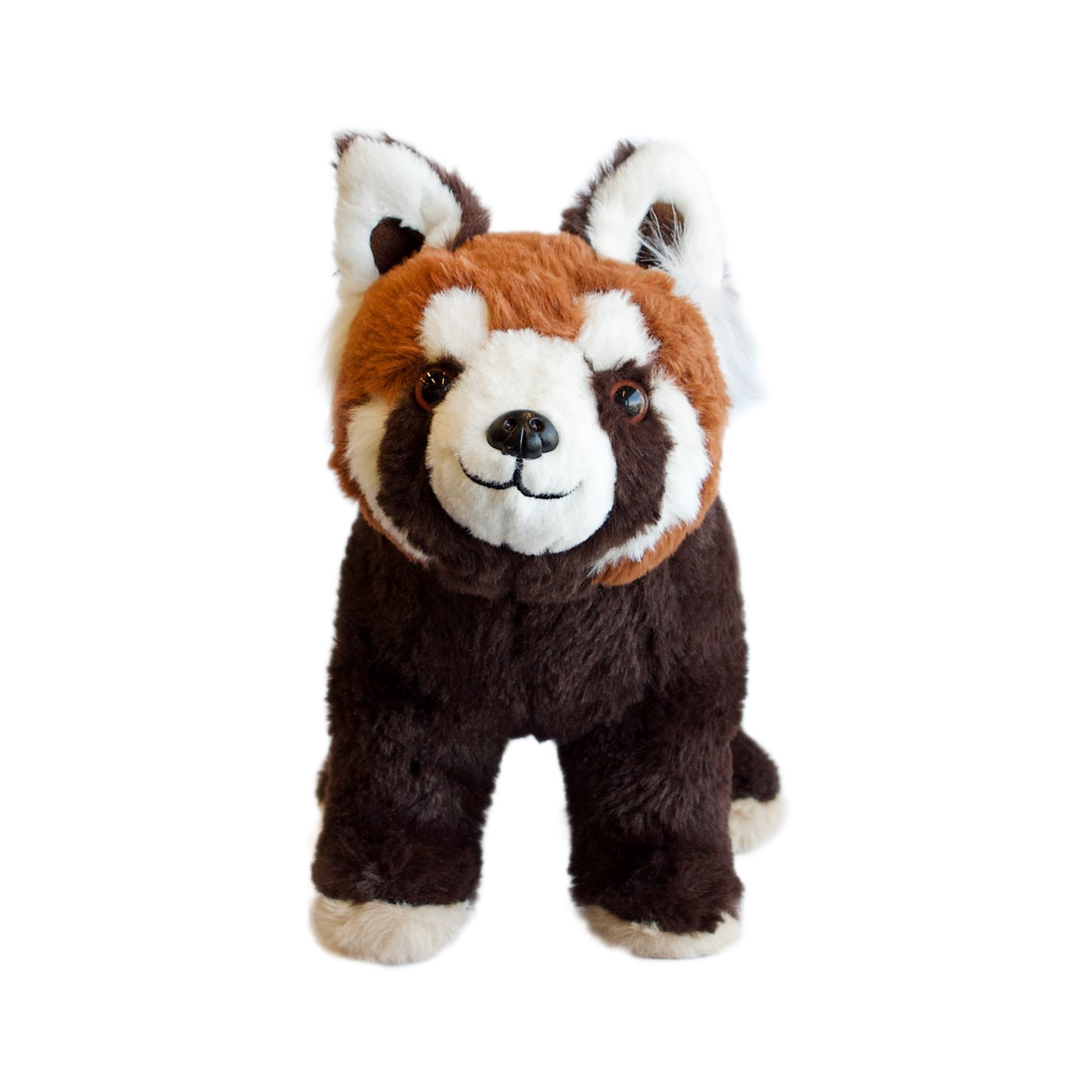 Amazon.co.jp: AQUA ぬいぐるみ 絶滅危惧種 レッサーパンダ : おもちゃ