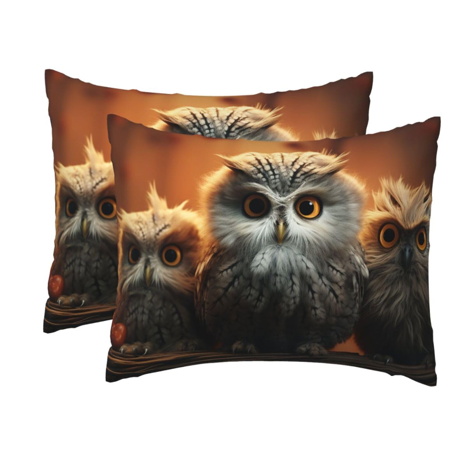 2 Pack Standard Pillow Cases with Hidden Zipper, Soft Breathable Pillow Covers for Hair and Skin, Cute Owl Baby Pillowcases 20"x26" Bed Pillow Protectors Cover for Sleeping Gifts