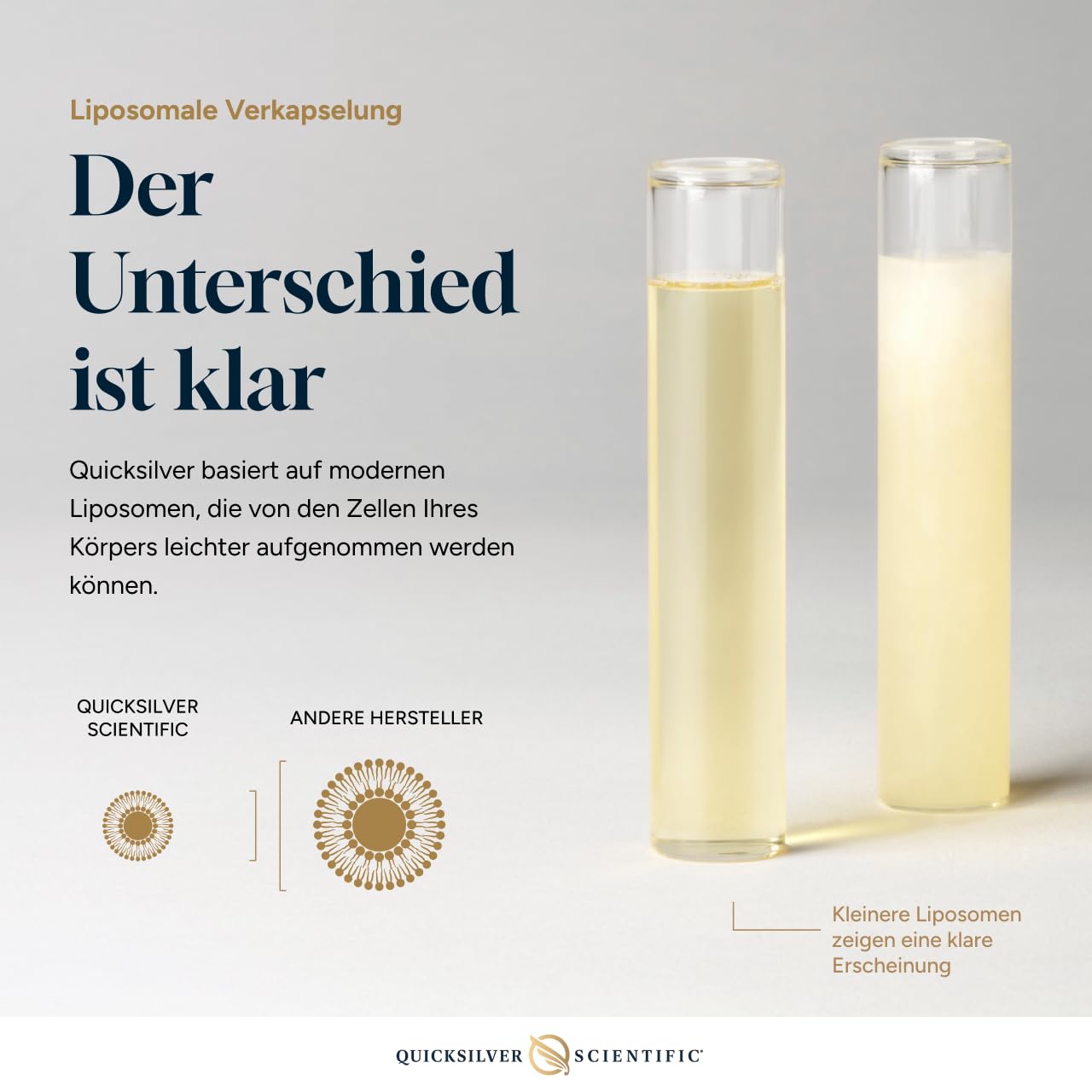 Quicksilver Scientific Vitamin C liposomal 1000mg – liposomales Vitamin C Tropfen, flüssige Formel, vegan, glutenfrei, ohne Zusatzstoffe, 120ml
