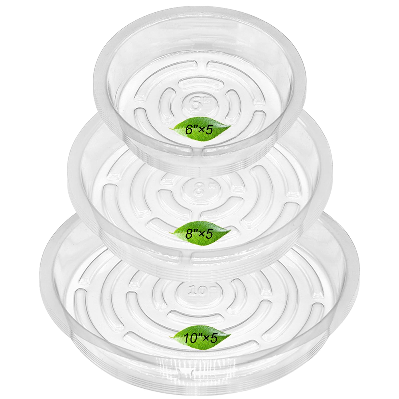 ColdTi: Cryptocurrency Seed Storage (ColdTi: Cryptocurrency Seed Storage) –  BigaMart