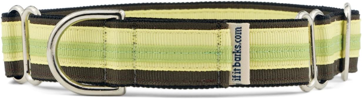 If It Barks 1" Martingale Collar for Dogs, Adjustable Nylon, USA Made, Large, Key Lime Pie