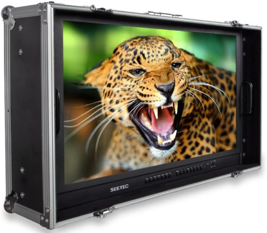 Seetec 28 Inch 4K Ultra-HD Resolution Carry-on Broadcast Director Monitor for CCTV Monitoring & Making Movies (4K280-9HSD-CO)