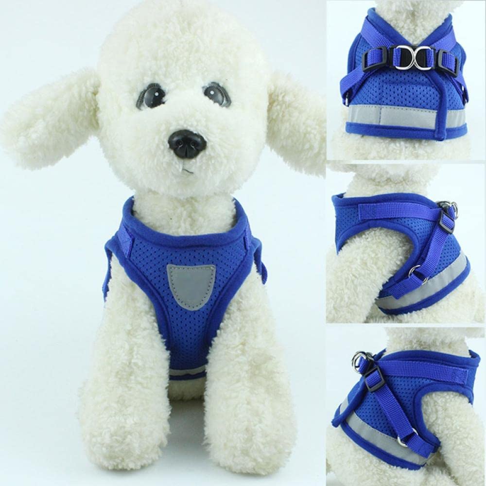Harnais et Laisse réfléchissants en Nylon Rouge pour Chien et Chat, compatibles avec Les Petits et Moyens Chiens (Taille M) et Les Sacs de Transport pour Chien (Taille L).
