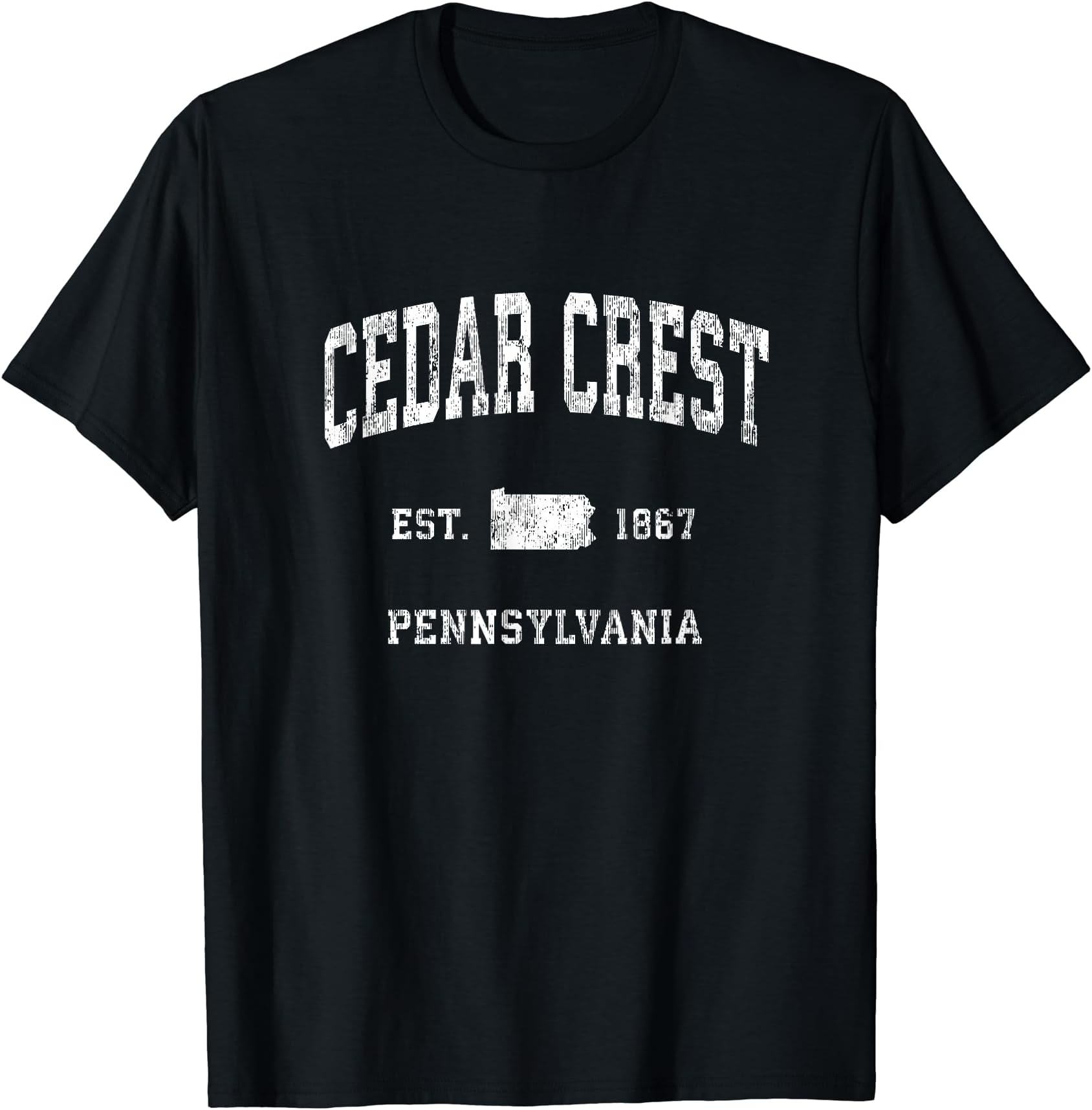 Cedar Crest Pennsylvania PA Vintage Athletic Sports Design T-Shirt