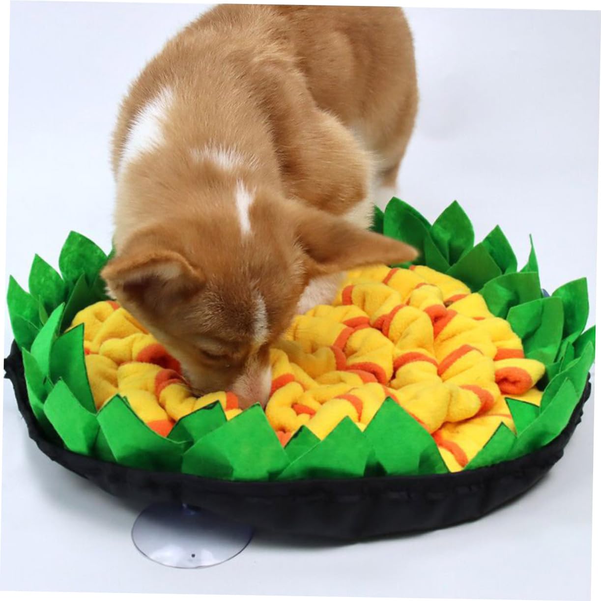 Tappetino Olfattivo per Cani, Alimentazione Lenta e Training