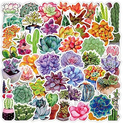 50 Pcs Succulent Stickers|Succulent Cactus Plants Waterproof Vinyl Decals for Water Bottles Laptop Refrigerator Luggage Cup Computer Mobile Phone Décor Cover