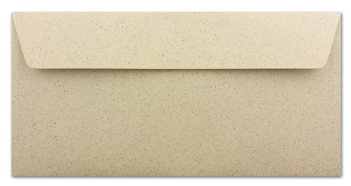 Karten und Co. - Buste DIN lunghe, 110 x 220 mm, carta kraft, 120 g/m2 200 Stück Graspapierumschlag - DIN Lang