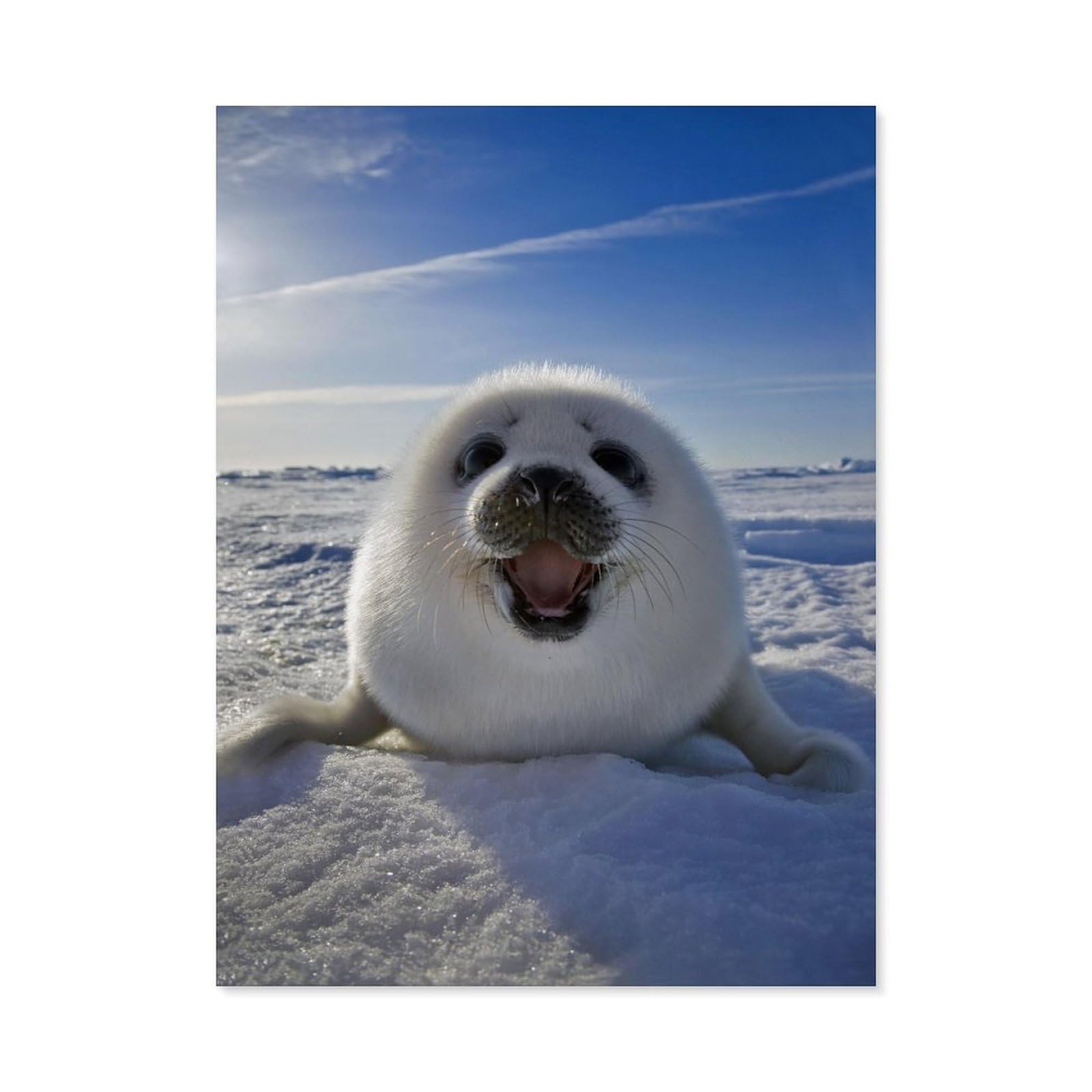BEAYODKP Paint by Numbers for Adults，Animal White Seal，DIY Oil Painting Paint by Number Kits Linen Canvas Wall Art House Decor(20x30cm) 7.8x11.8 inches-J94 — image 1