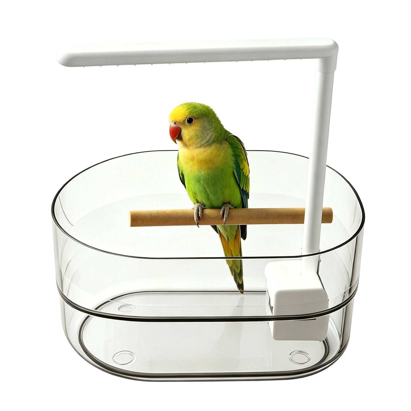 Bain automatique pour oiseaux avec eau courante et réservoir électrique transparent